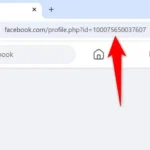 Ảnh chụp màn hình trang cá nhân Facebook trên máy tính, hiển thị liên kết hồ sơ được tô sáng trong thanh địa chỉ trình duyệt.