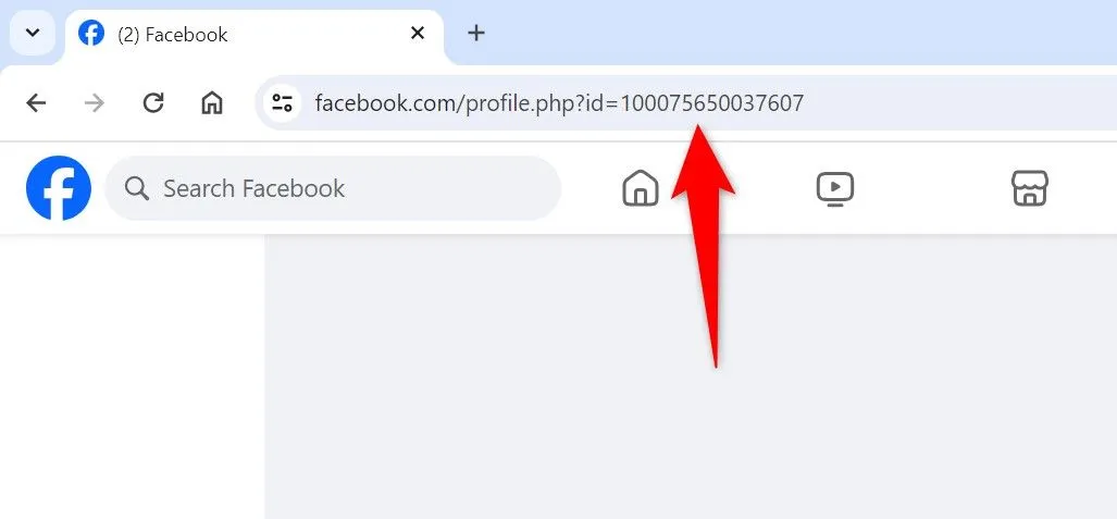 Ảnh chụp màn hình trang cá nhân Facebook trên máy tính, hiển thị liên kết hồ sơ được tô sáng trong thanh địa chỉ trình duyệt.
