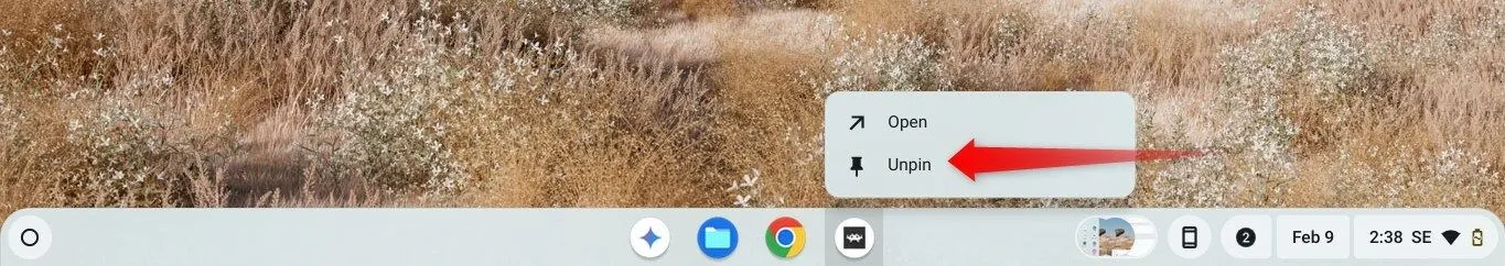 Bỏ ghim một ứng dụng khỏi thanh Shelf trên ChromeOS.