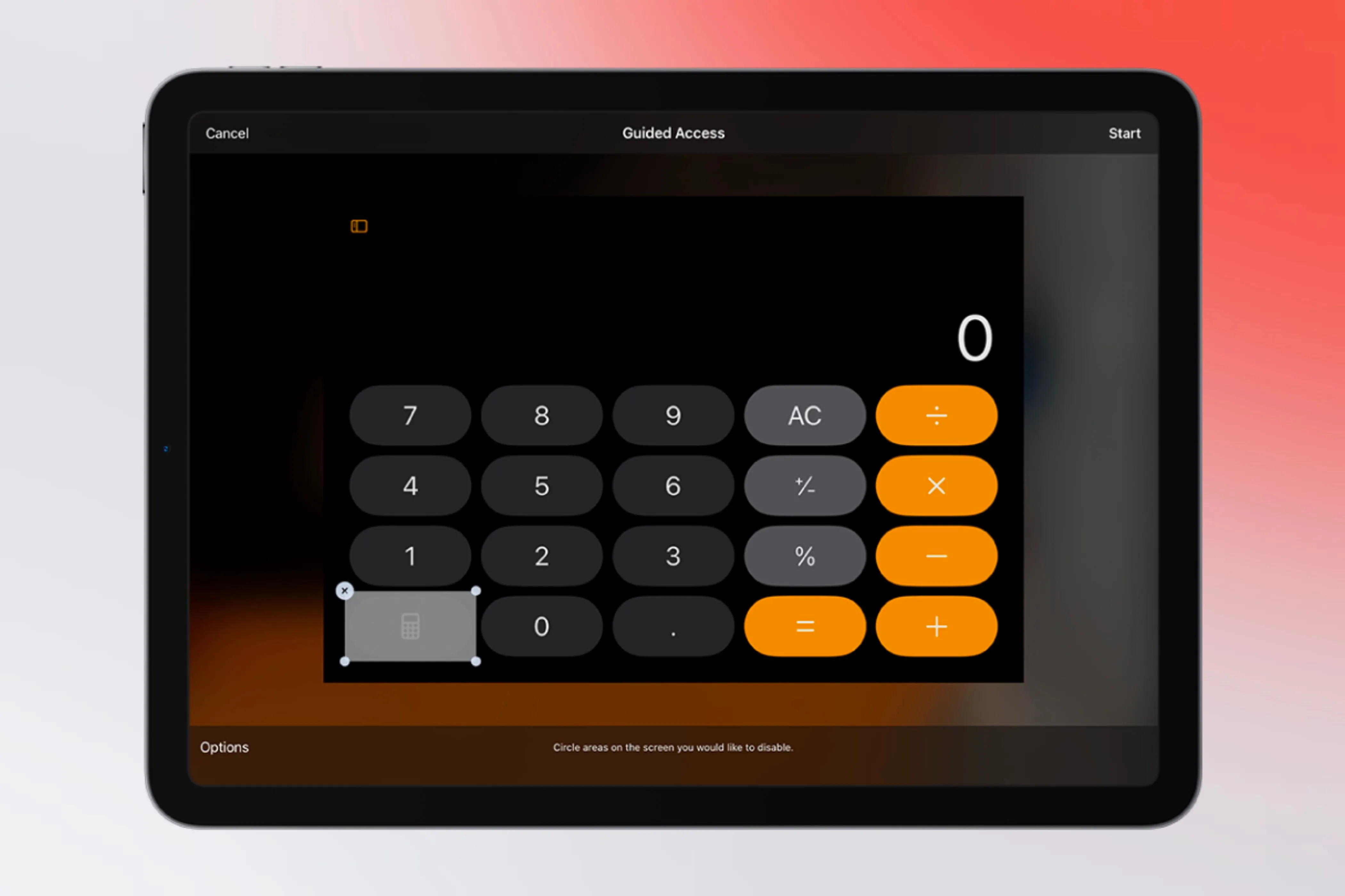 Cài đặt Guided Access đang được bật trên màn hình iPad để bảo vệ thiết bị khi thú cưng chơi game.