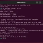 Cài đặt xclip trên Ubuntu 24.04 LTS bằng trình quản lý gói apt.