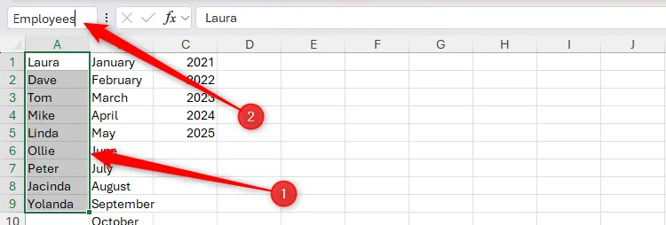 Chọn một vùng ô chứa tên người và đặt tên là &quot;Employees&quot; trong hộp tên (Name Box) của Excel.