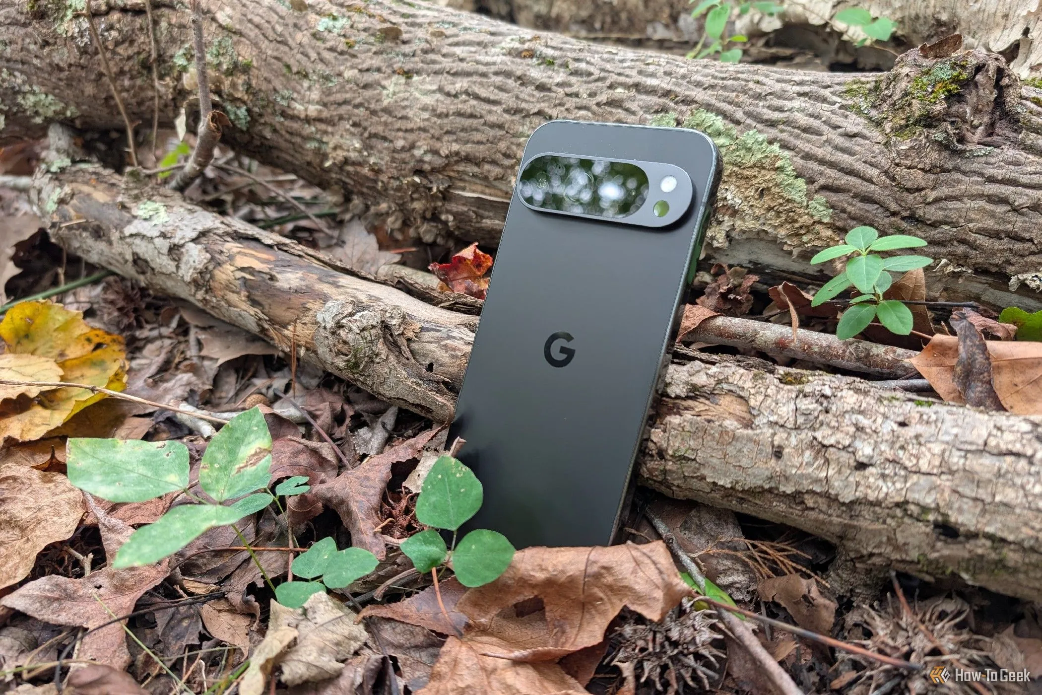 Điện thoại Google Pixel 9 Pro XL giữa lá cây và cành khô
