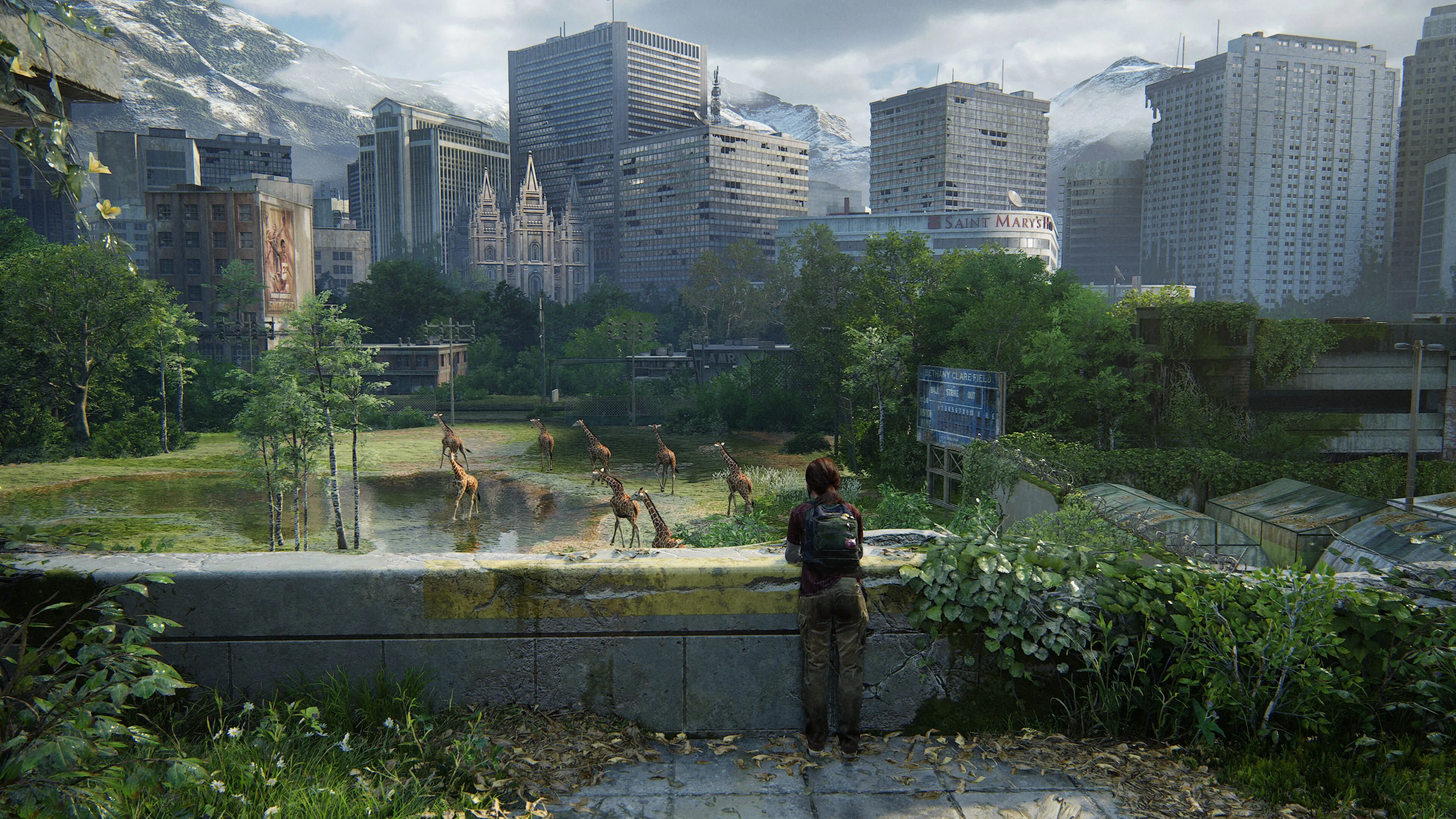 Ellie ngắm nhìn đàn hươu cao cổ trong The Last of Us: Part 1, một bản remake gây tranh cãi về sự cần thiết.