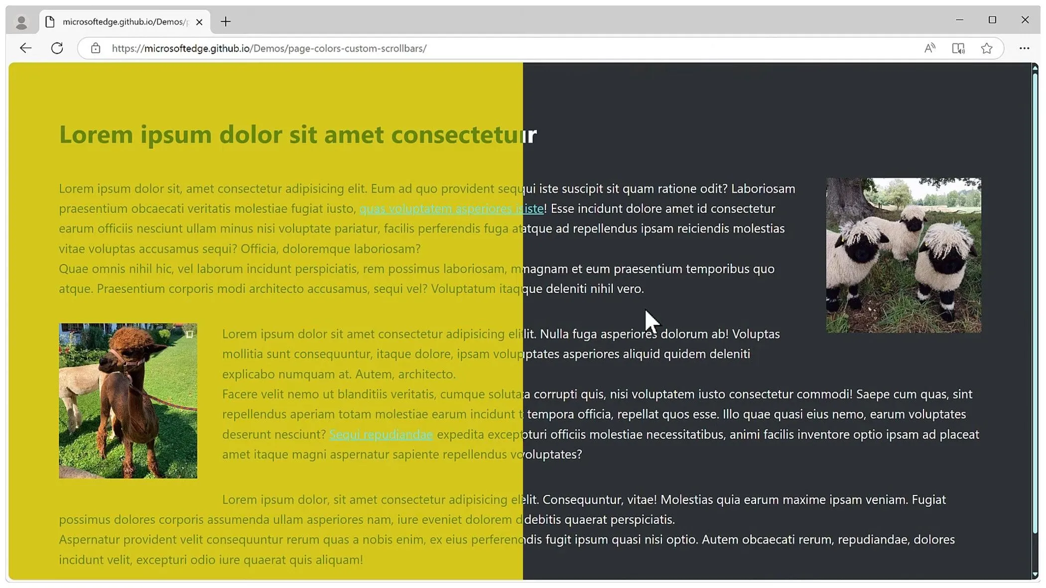 Hai ví dụ về tính năng Page Colors trên Microsoft Edge, hiển thị văn bản màu xanh lá trên nền vàng và văn bản trắng trên nền đen, minh họa khả năng thay đổi màu sắc trang web để tăng khả năng đọc.