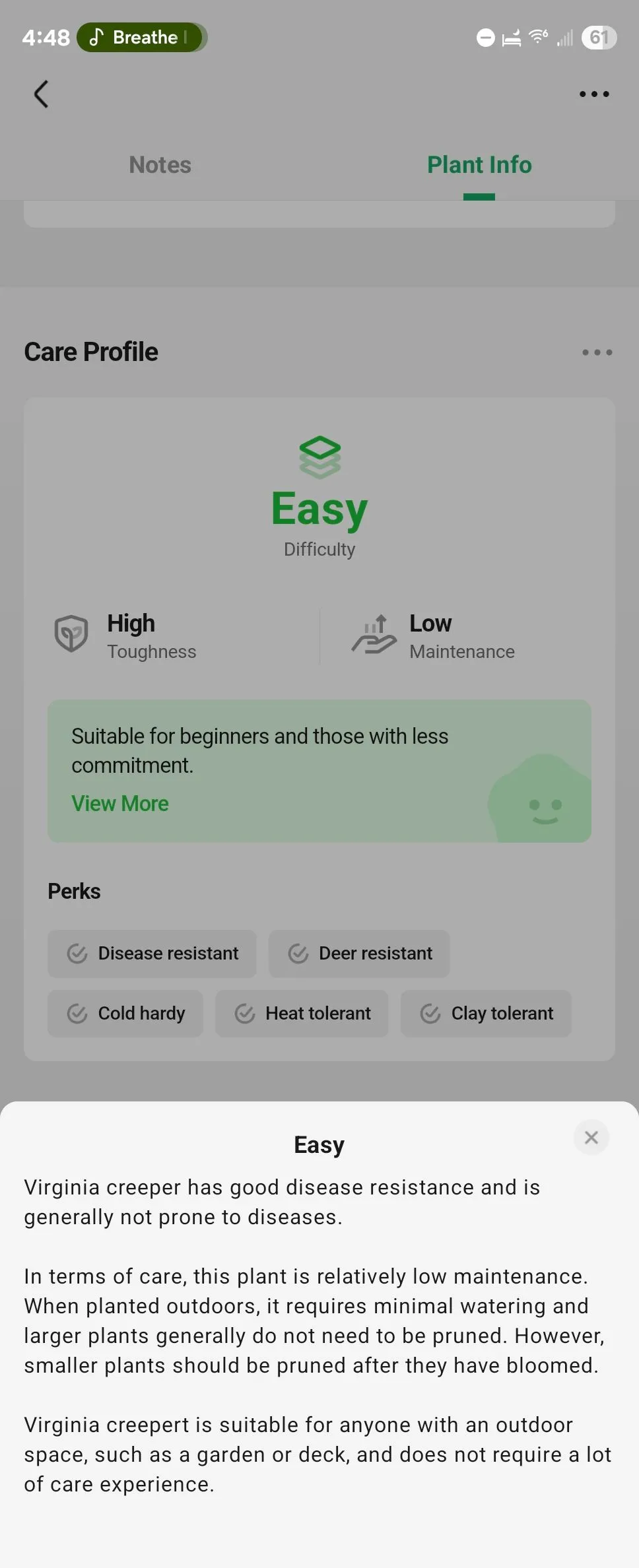 Hướng dẫn chăm sóc cây chi tiết hiển thị trong ứng dụng PictureThis trên Android.