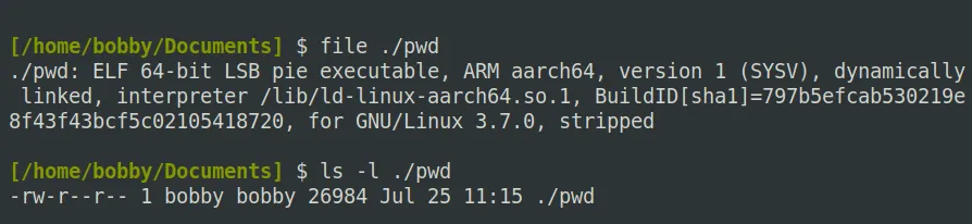 Kết quả lệnh file và ls cho thấy chi tiết một chương trình nhị phân không có quyền thực thi trên Linux.