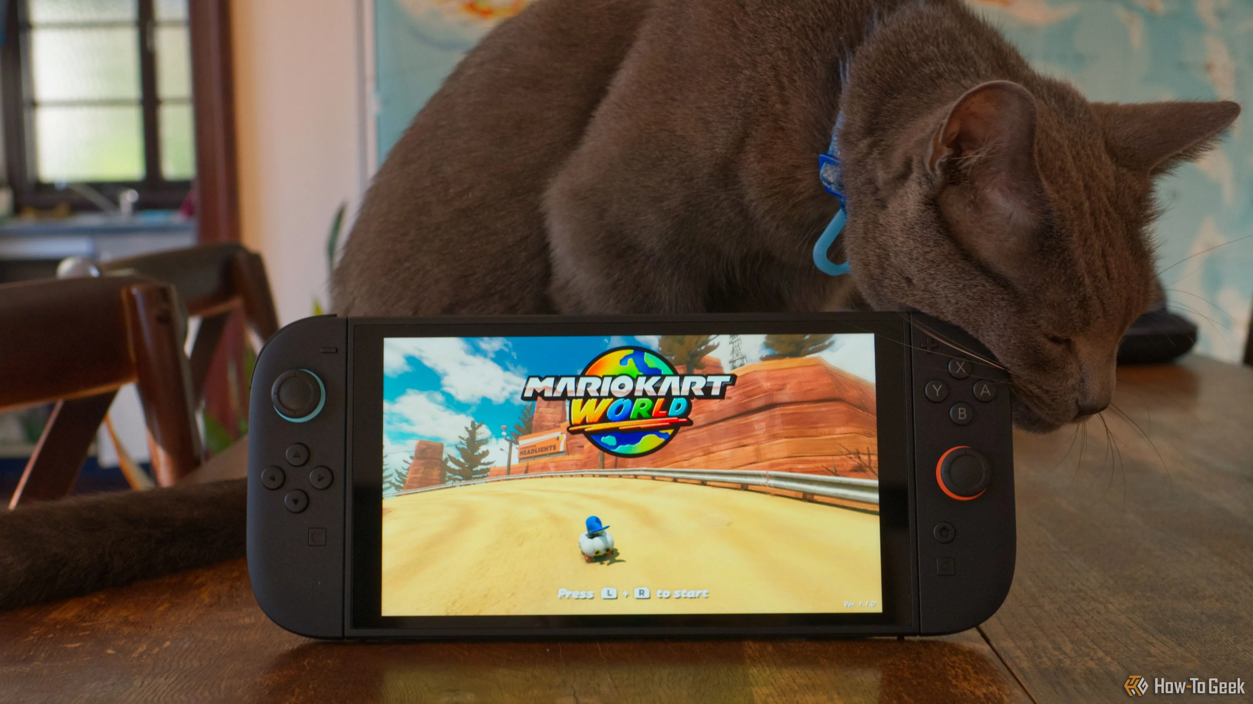 Máy chơi game Nintendo Switch 2 đặt cạnh một chú mèo, minh họa kích thước và trải nghiệm cầm tay