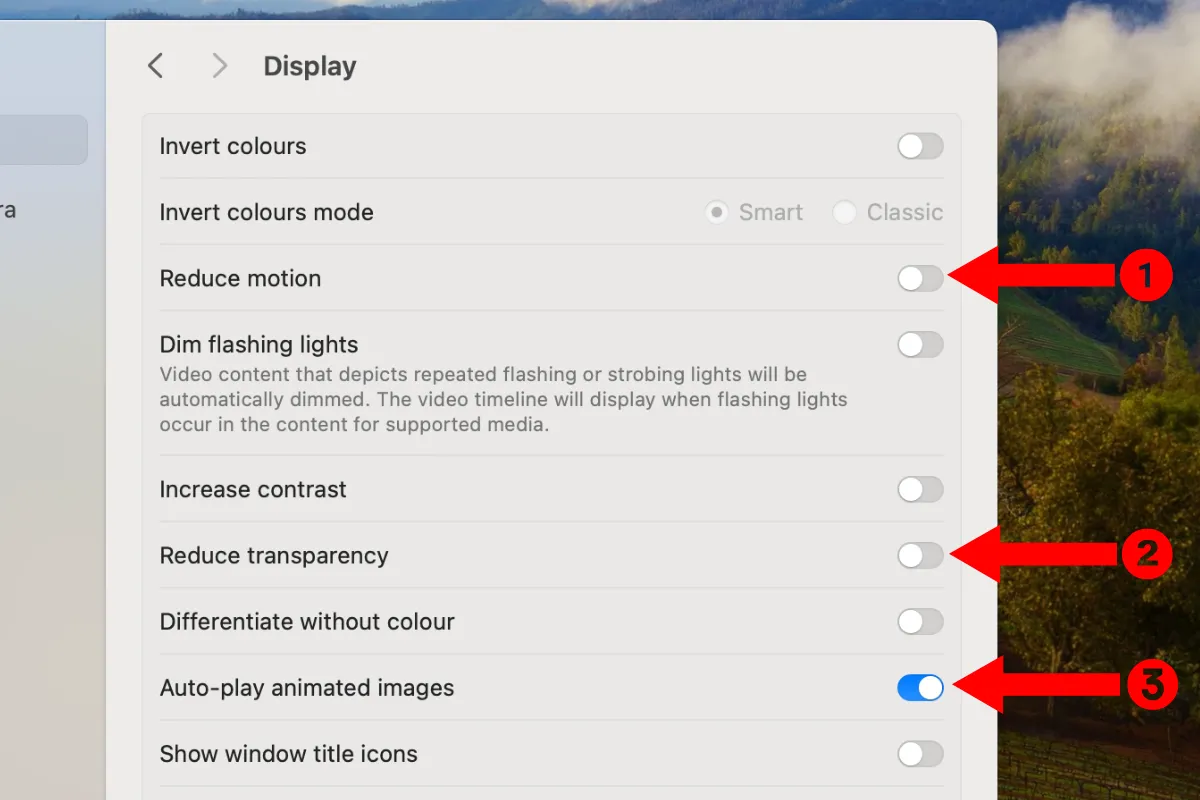Menu cài đặt trợ năng liên quan đến màn hình trên macOS