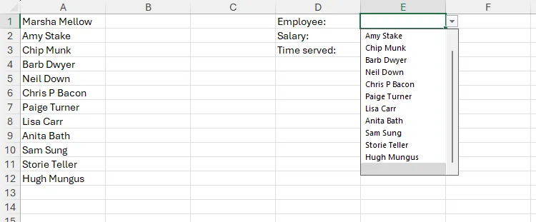 Một danh sách thả xuống trong Excel, được tạo thông qua công cụ Data Validation, hiển thị danh sách các tên được cập nhật.