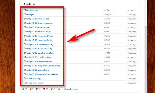 Nhấp vào tệp phù hợp với nền tảng hệ điều hành trong Assets của GitHub