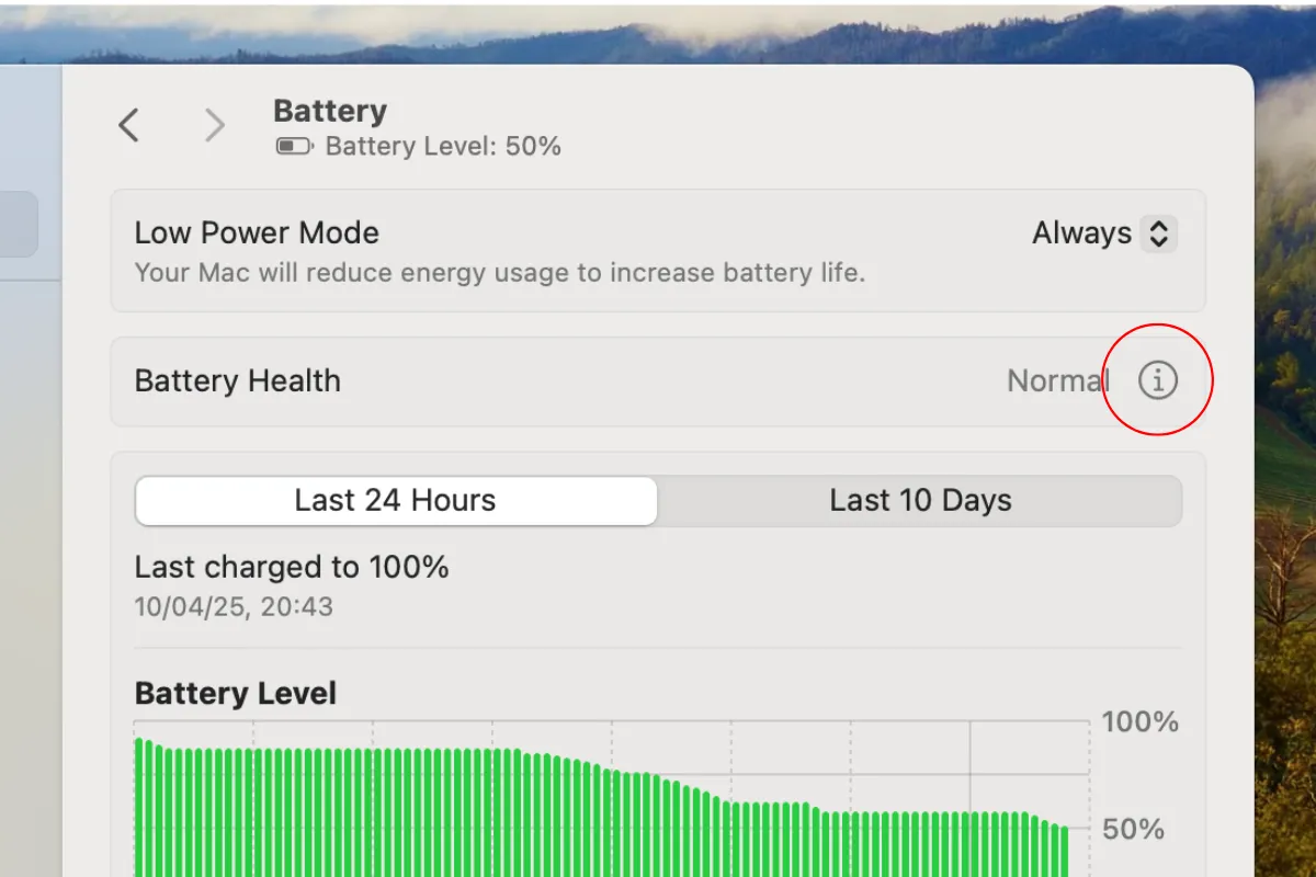 Nút "i" bên cạnh Tình trạng pin trên macOS