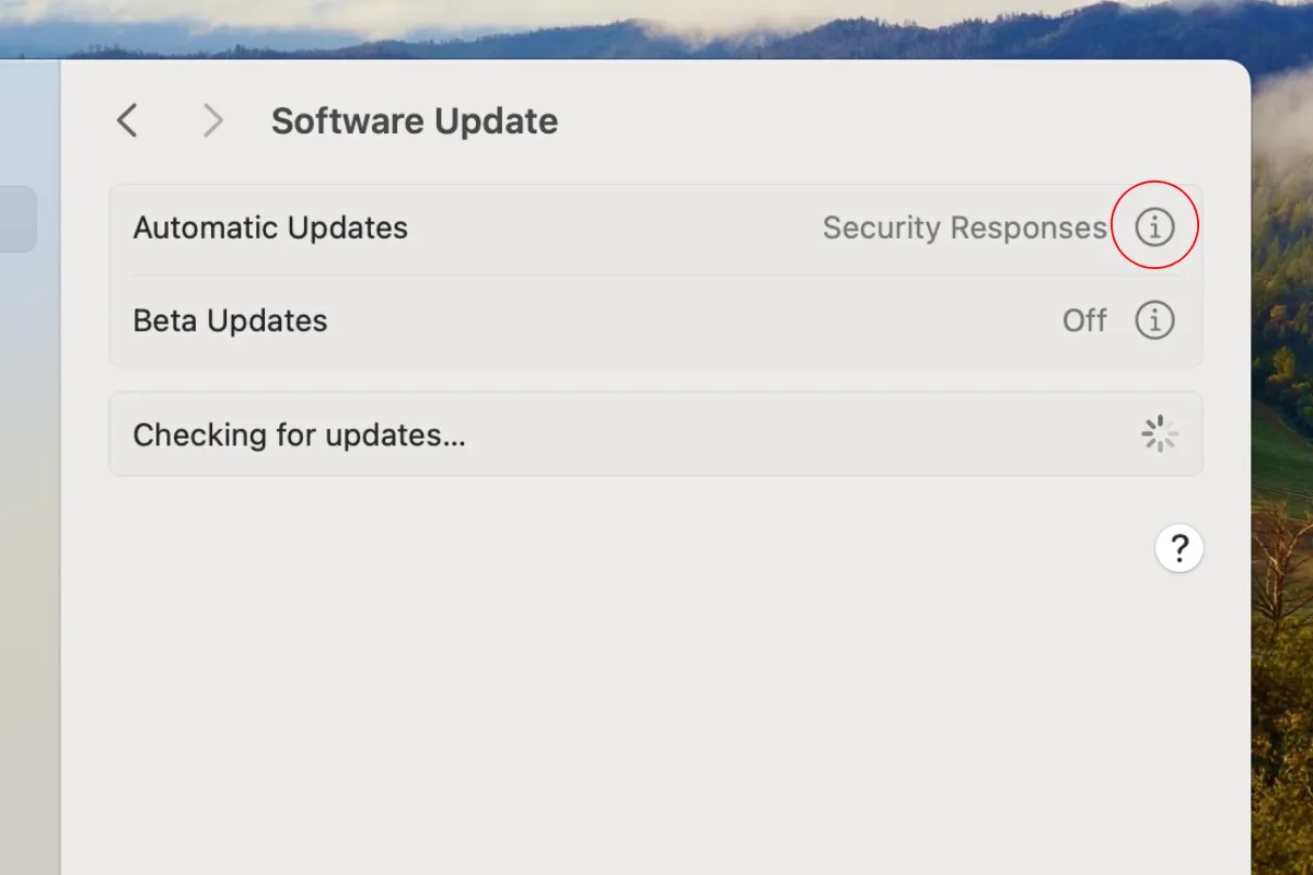 Phần cập nhật phần mềm trong macOS với vòng tròn xung quanh nút "i"