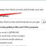 Thẻ Proofing trong cửa sổ Tùy chọn Word để điều chỉnh các cài đặt liên quan đến hiệu đính và tự động sửa lỗi.