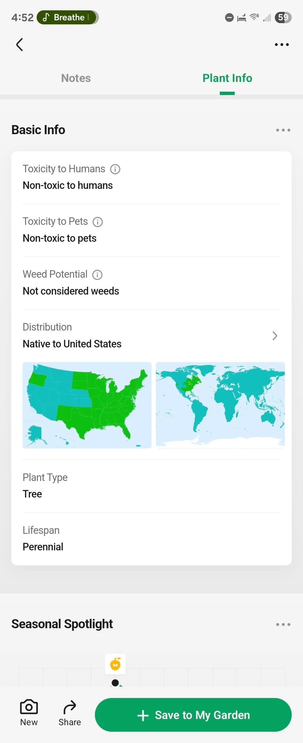 Thông tin cơ bản về một loài cây trong giao diện ứng dụng PictureThis trên Android.