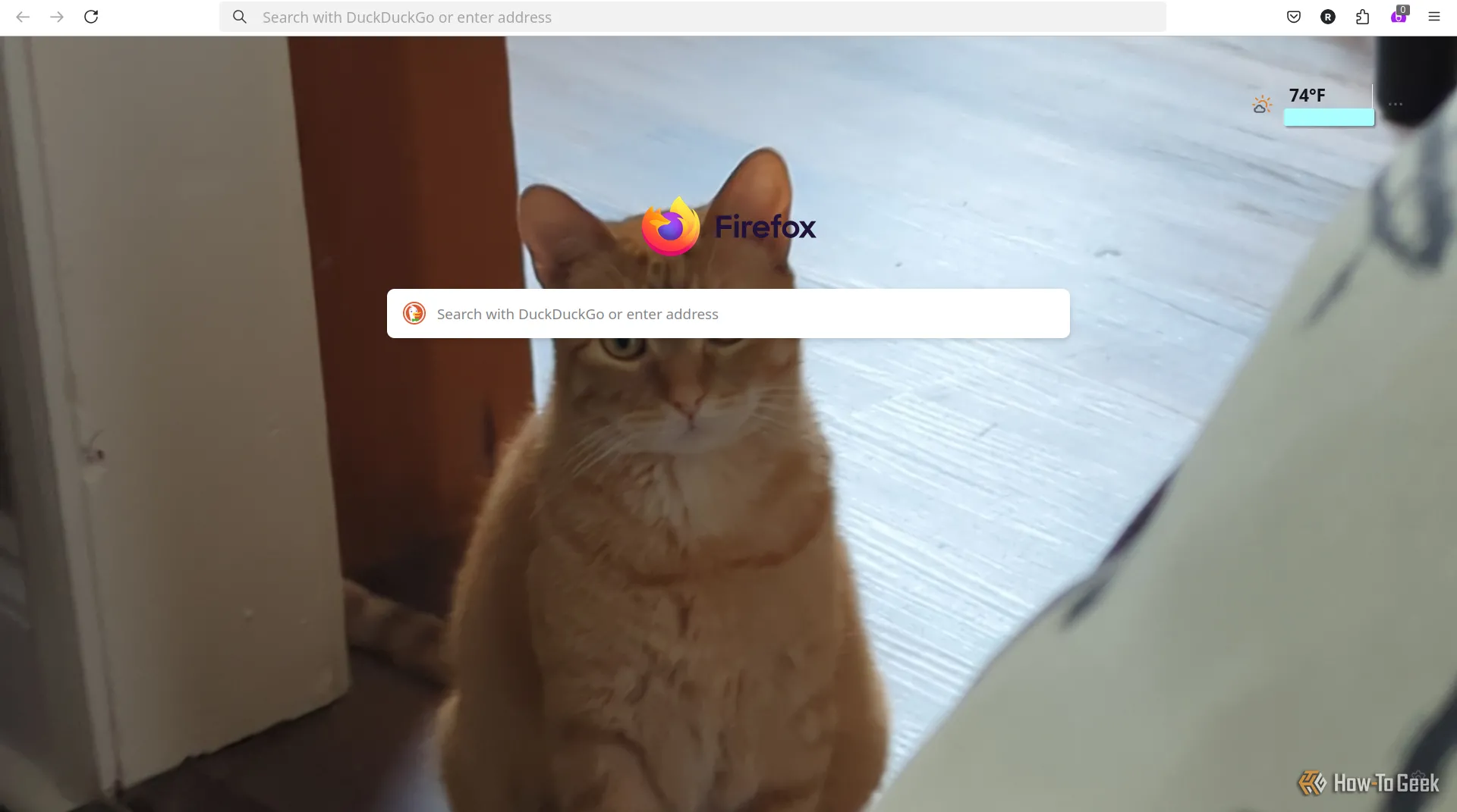 Trang chủ Firefox với hình ảnh một con mèo được đặt làm hình nền