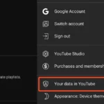 Tùy chọn "Dữ liệu của bạn trong YouTube" để quản lý hoạt động và lịch sử xem.