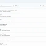 Tùy chọn reset ứng dụng trong giao diện Wintoys