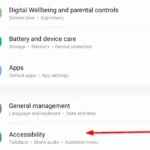 Tùy chọn Trợ năng trong Cài đặt Samsung Galaxy