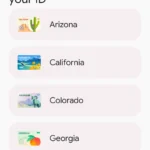Ứng dụng Google Wallet mở màn hình thêm ID, hiển thị lựa chọn tiểu bang phát hành ID tại Mỹ